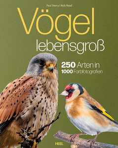 Cover Vögel lebensgroß | Heel Verlag