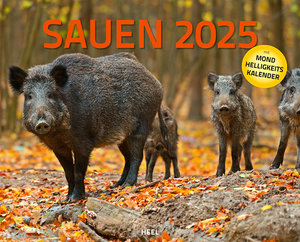 Cover Kalender Sauen 2025 | Heel Verlag