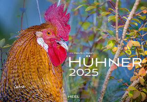 Cover Kalender Hühner 2025 | Heel Verlag