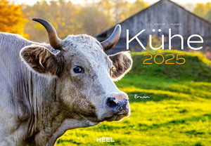 Cover Kalender Kühe 2025 | Heel Verlag