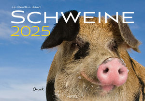 Cover Kalender Schweine 2025 | Heel Verlag